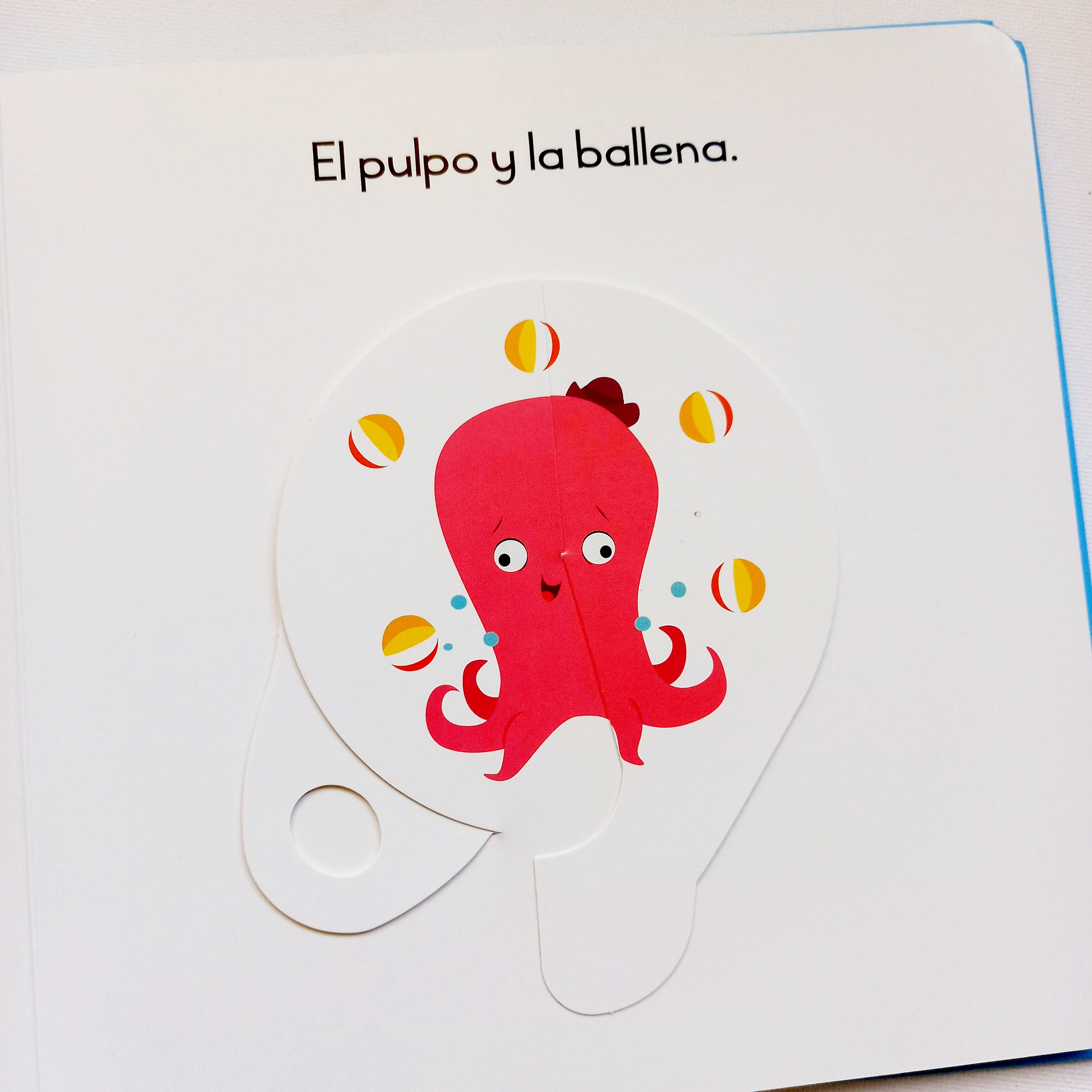 Animales - Gira y descubre Animales - Gira y descubre
